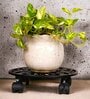 Patio Set of 2 Black Metal Plant Stand