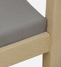 Paulina Solid Wood Arm Chair In Gold Wash Finish