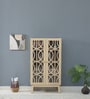 Paulina Solid Wood Book Case In Gold Wash Finish