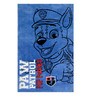 Blue Character Poly Propylene 3 ft x 5 ft Kids Carpet