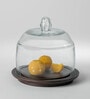 Pawn Brown Glass Cloche with Wooden Base