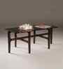 Payton Coffee Table In Brown Finish