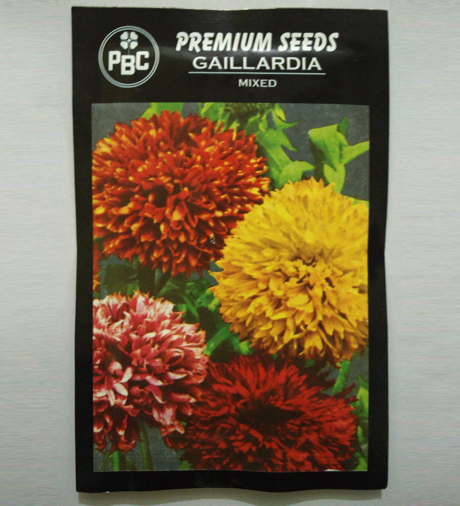 Buy Gaillardia Mixed Premium seeds (Pack of 100 Seeds) by PBC Online