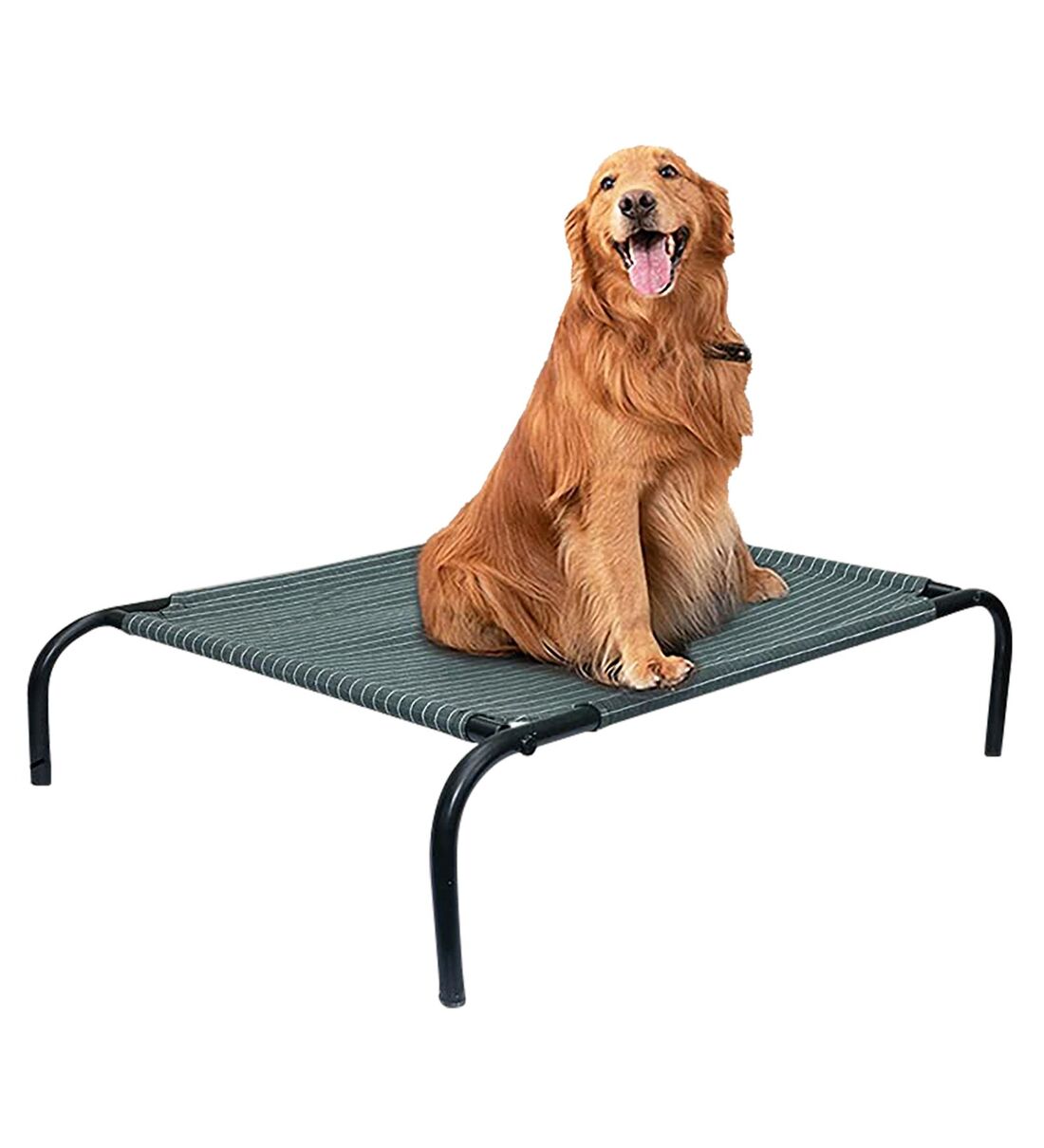 Buy Large Pet Bed In Green Colour By Hiputee Online Dog Beds Dog