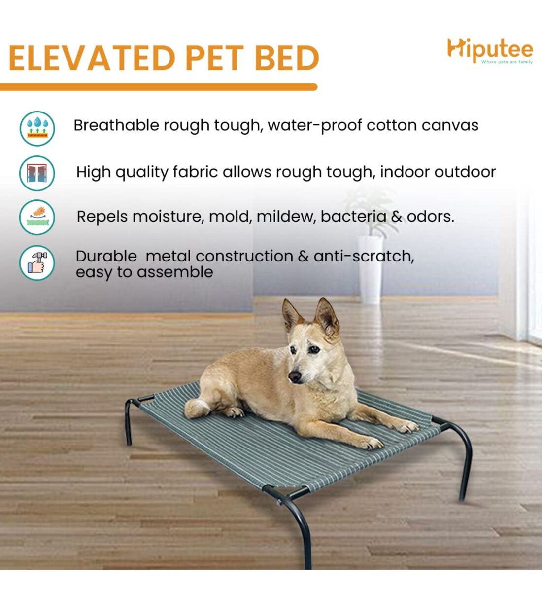 Buy Large Pet Bed In Green Colour By Hiputee Online Dog Beds Dog Beds Pets Pepperfry Product