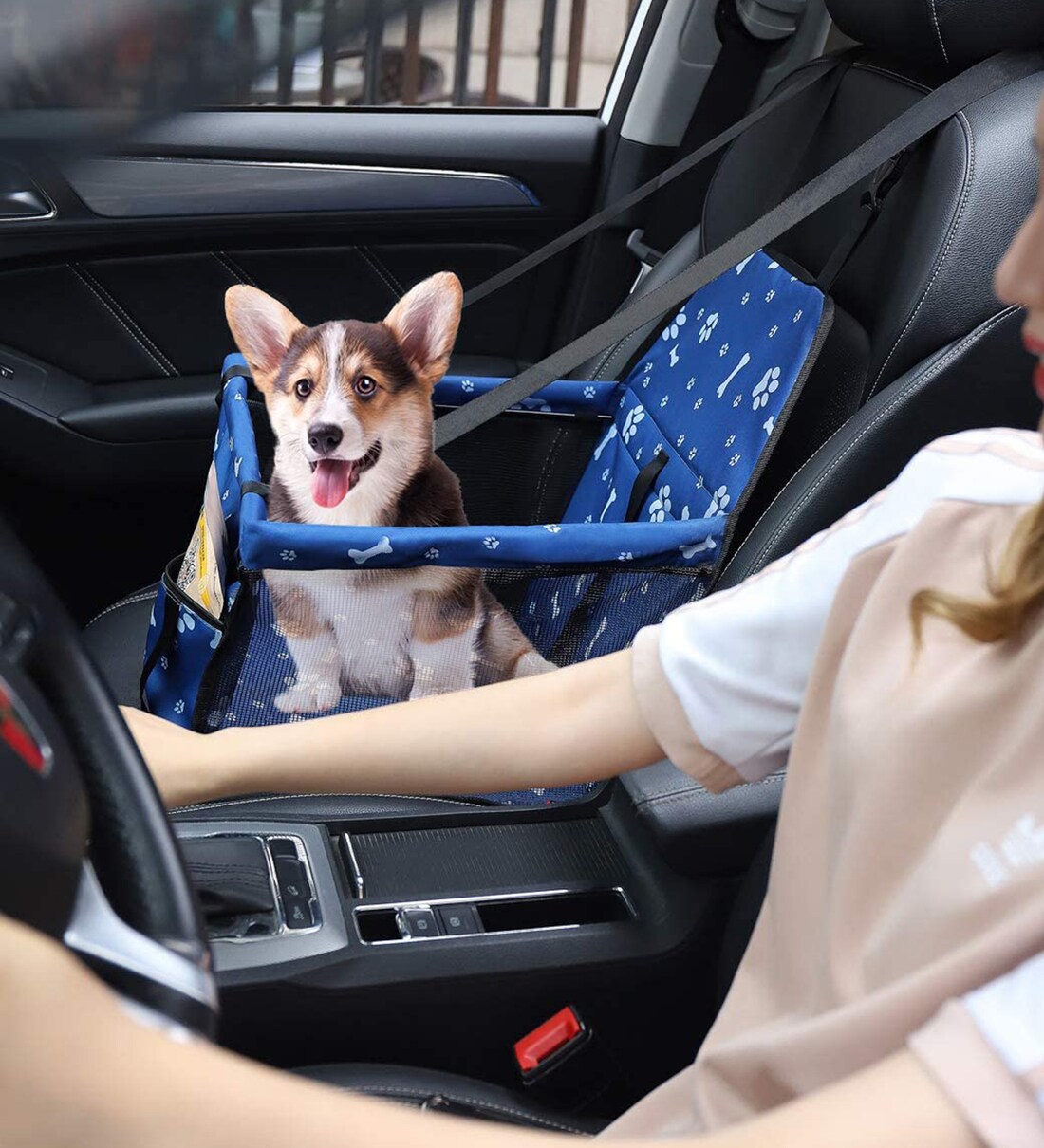 Buy Pet Car Booster Seat Travel Carrier Cage in Blue Colour by KUTKUT