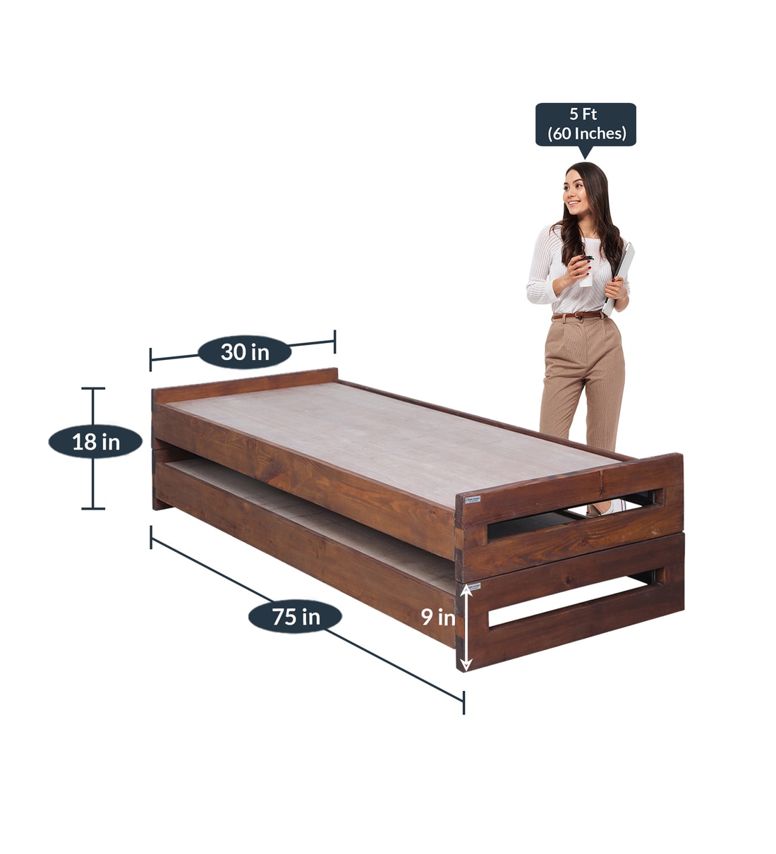 Buy Petal Stackable Bed by Komfort Furnishers Online Modern Single
