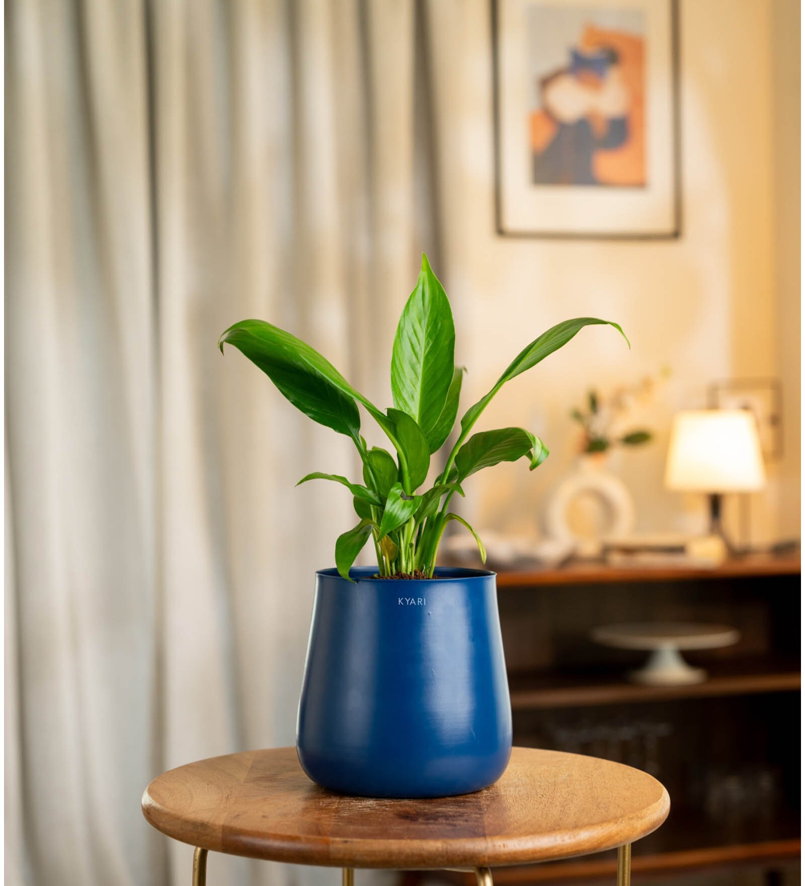 Peace Lily Plant With Aura Pot