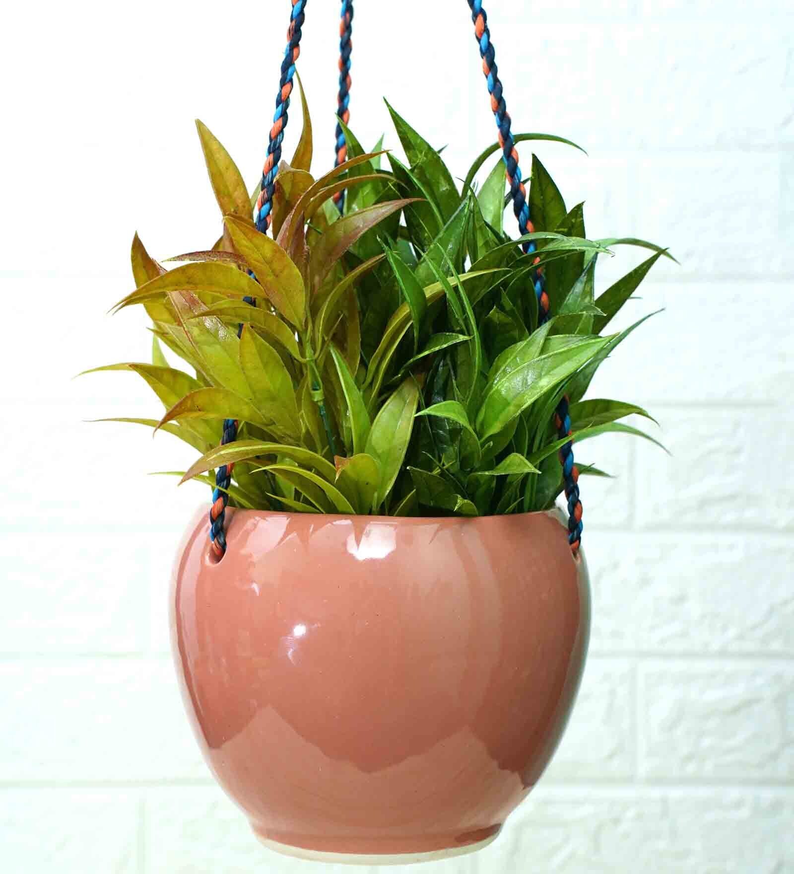 Peach Ceramic Hanging Planter