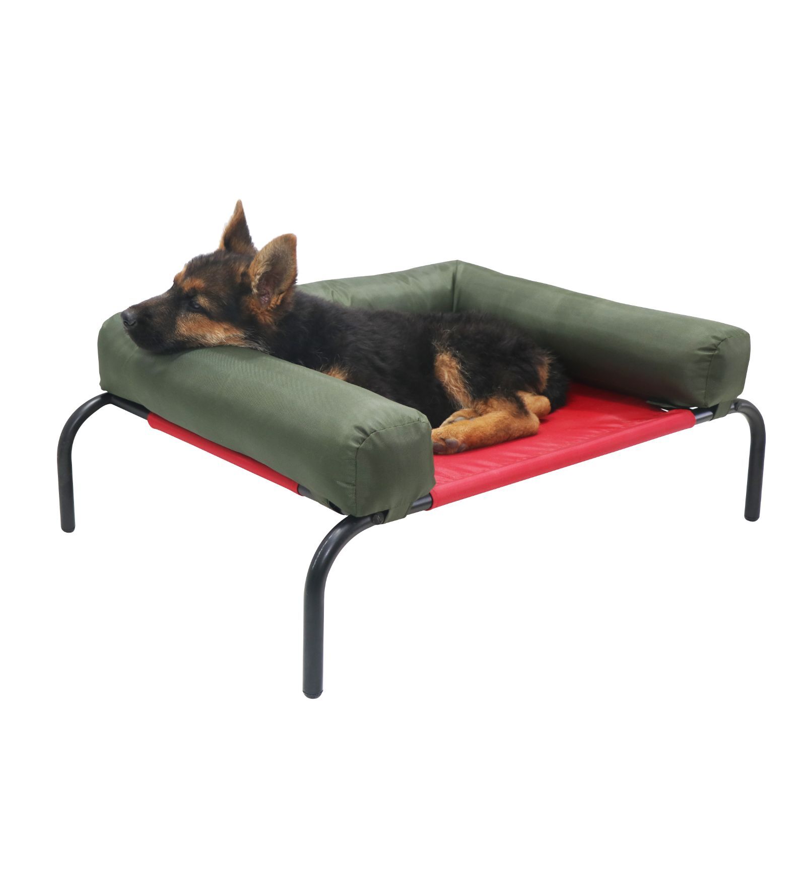 Buy Hut Large Red & Green Fabric & Metal Pet Bed at 67 OFF by Hiputee