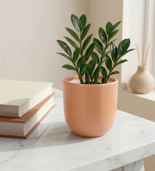 Peach Ceramic 5-Inch Flower Pot