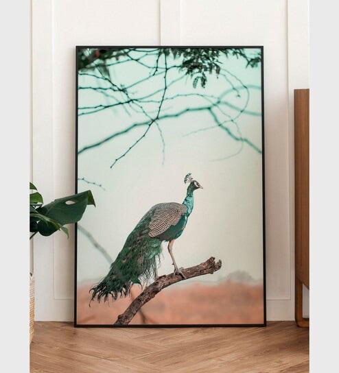 Peacock Indian Pichwai Painting