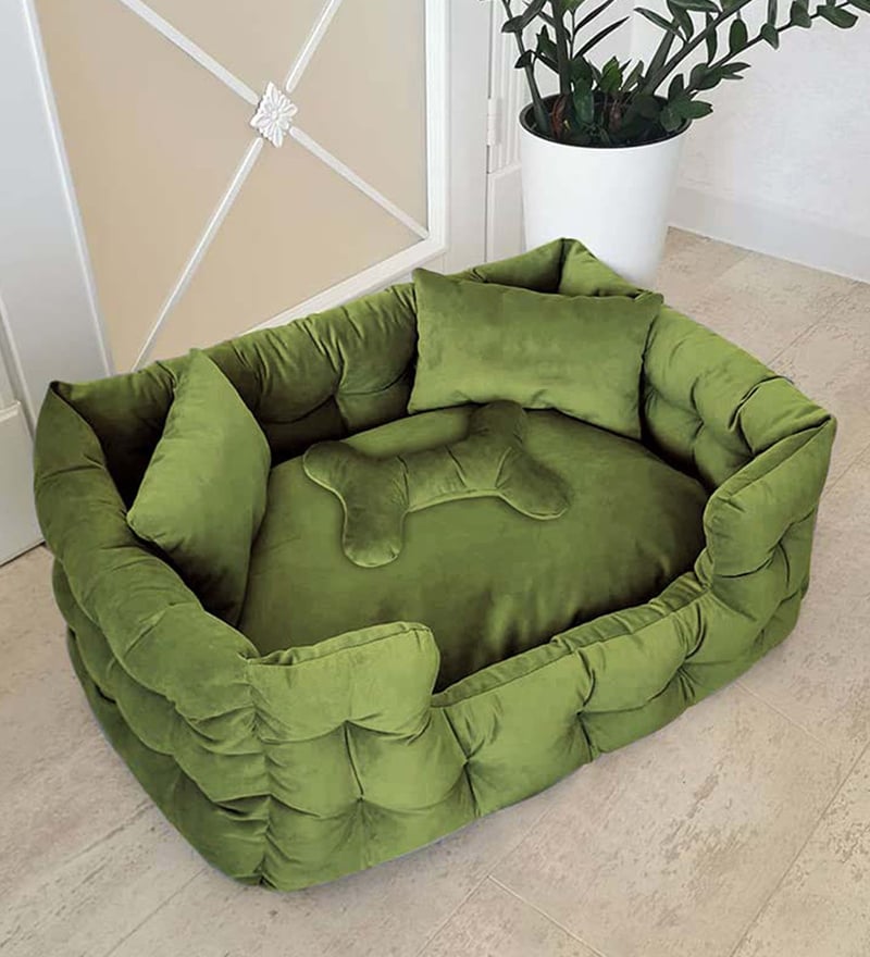 Buy Large Pet Bed In Light Green Colour By Hiputee Online Dog Beds Dog Beds Pets