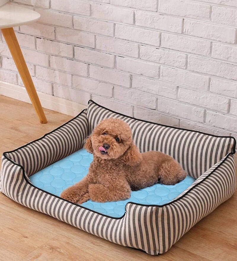 Buy Extra Large Pet Cooling Mats in Blue Colour by KUTKUT Online Mats