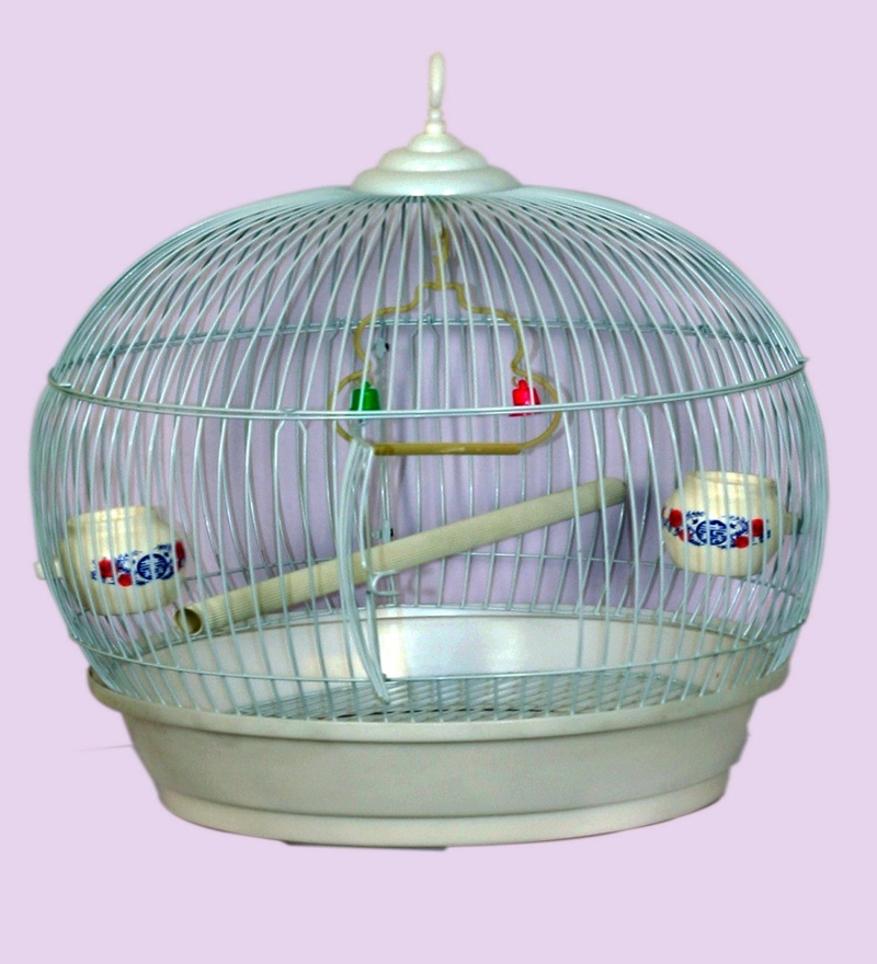 parrot cage online shopping