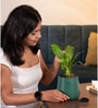 Peace Lily Plant With Aura Pot- Green
