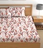 Peach 200 TC Floral Cotton Queen Double Bedsheet 2 Pillow covers