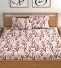 Peach 200 TC Floral Cotton Queen Double Bedsheet 2 Pillow covers
