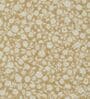 Peach and Brown Polyester Solid 200 GSM Double Bed Comforter