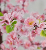 Peach Blossom Tree