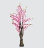 Peach Blossom Tree