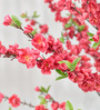 Peach Blossom Tree