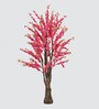Peach Blossom Tree
