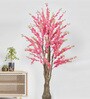 Peach Blossom Tree