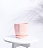 Peach Ceramic Desk Pot