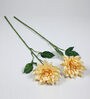Peach Fabric Beautiful Artificial Dahlia Flowers Set of 2