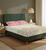 Peach Floral 200 TC Cotton Double Bedsheet with 2 Pillow Covers