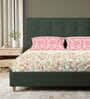 Peach Floral 200 TC Cotton Double Bedsheet with 2 Pillow Covers