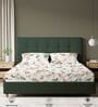 Peach Floral 200 TC Cotton Double Bedsheet with 2 Pillow Covers