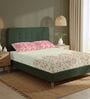 Peach Floral 200 TC Cotton King Sized Bedsheet with 2 Pillow Covers