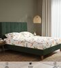 Peach Floral 200 TC Cotton Single Bedsheet with 1 Pillow Cover