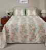 Peach Fruit Print 200 TC Cotton Double Bed Sheet with 2 Pillow Covers Sensory Bloom Collection