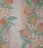 Peach Fruit Print 200 TC Cotton Single Bed Sheet with 1 Pillow Cover Sensory Bloom Collection