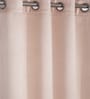 Peach Polyester Solid 5ft Blackout Eyelet Window Curtain