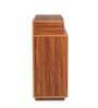 Peach Shoe Cabinet in Exotic Teak Finish