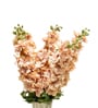 Peach Silk Cherry Blossom Silk Stem Single Stem Flower