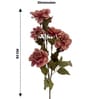 Peach Silk Peony Silk Stem Single Stem Flower