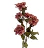 Peach Silk Peony Silk Stem Single Stem Flower