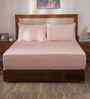 Peach Solid 400 TC Cotton King Size Bed Sheet with 2 Pillow Covers 23 Collection