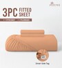Peach Solid 400 TC Cotton Queen Sized Fitted sheet with 2 Pillow Covers