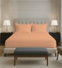 Peach Solid 400 TC Cotton Queen Sized Fitted sheet with 2 Pillow Covers