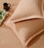 Peach Solid TC 120 Cotton Double Queen Bedcover With 2 Pillow Covers
