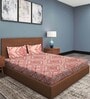 Peach Ethnic Motif 186 TC Cotton Double Sized Bedsheet With 2 Pillow Covers