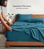 Peacock Blue 210 TC Cotton King Size Bedsheet with 2 Embroidered Pillow Covers