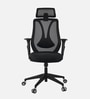 Peacock Breathable Mesh Ergonomic Chair In Black Colour