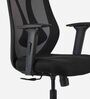 Peacock Breathable Mesh Ergonomic Chair In Black Colour